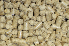 Stonefort biomass boiler costs